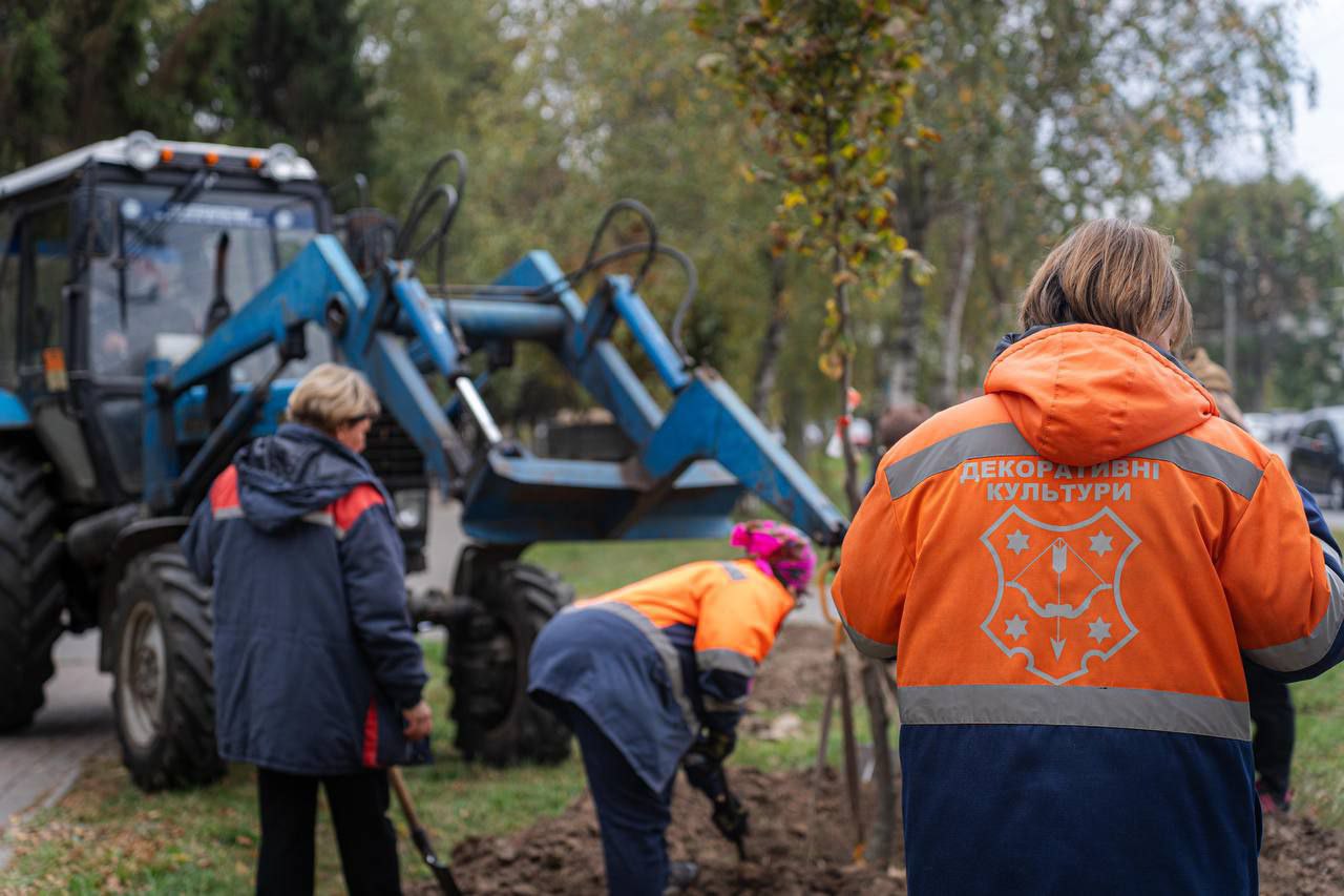 Полтава закуповує гідравлічний розколювач пнів та щепоріз: як місто намагається врегулювати цикл озеленення