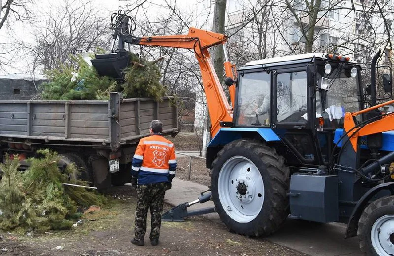 Куди полтавцям подіти ялинку після свят
